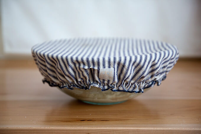 dough rising, Dot and Army cloth bowl cover