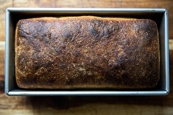 Sourdough sandwich bread, just baked, still cooling in loaf pan.